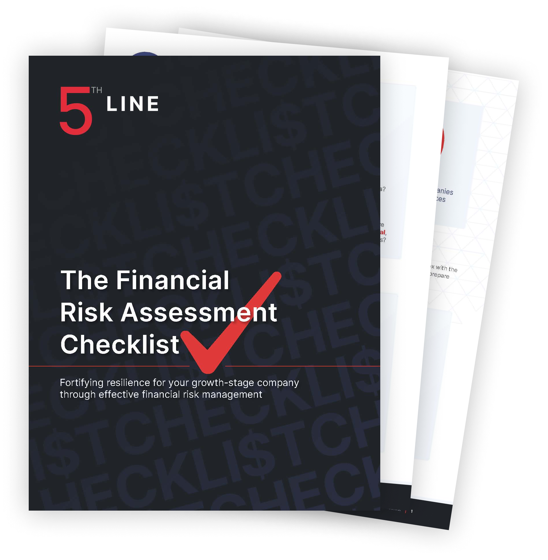 The Financial Risk Assessment Checklist_Icon 1-1